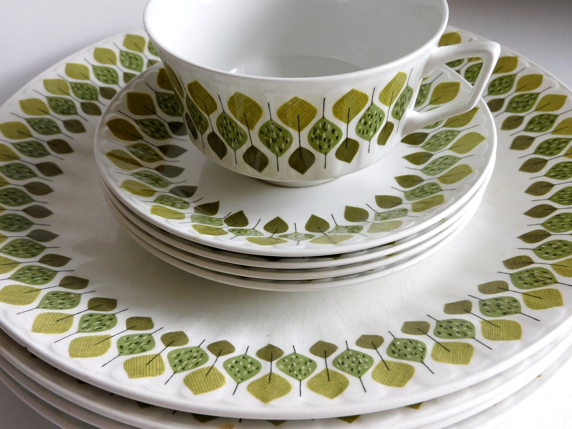 Green Leaf Spanish Crown Pontesa Ironstone Dishes