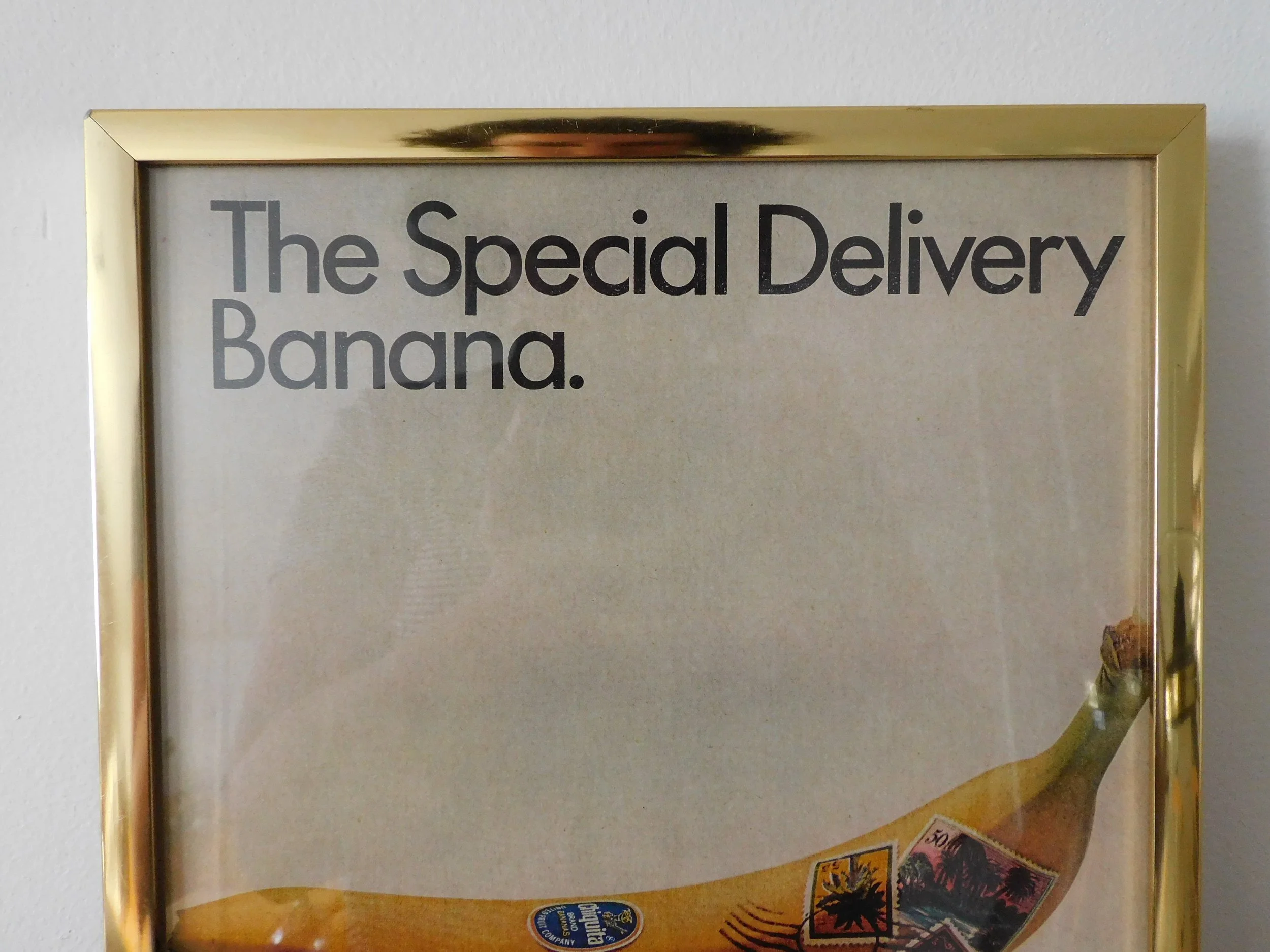 DSCN4825.JPG