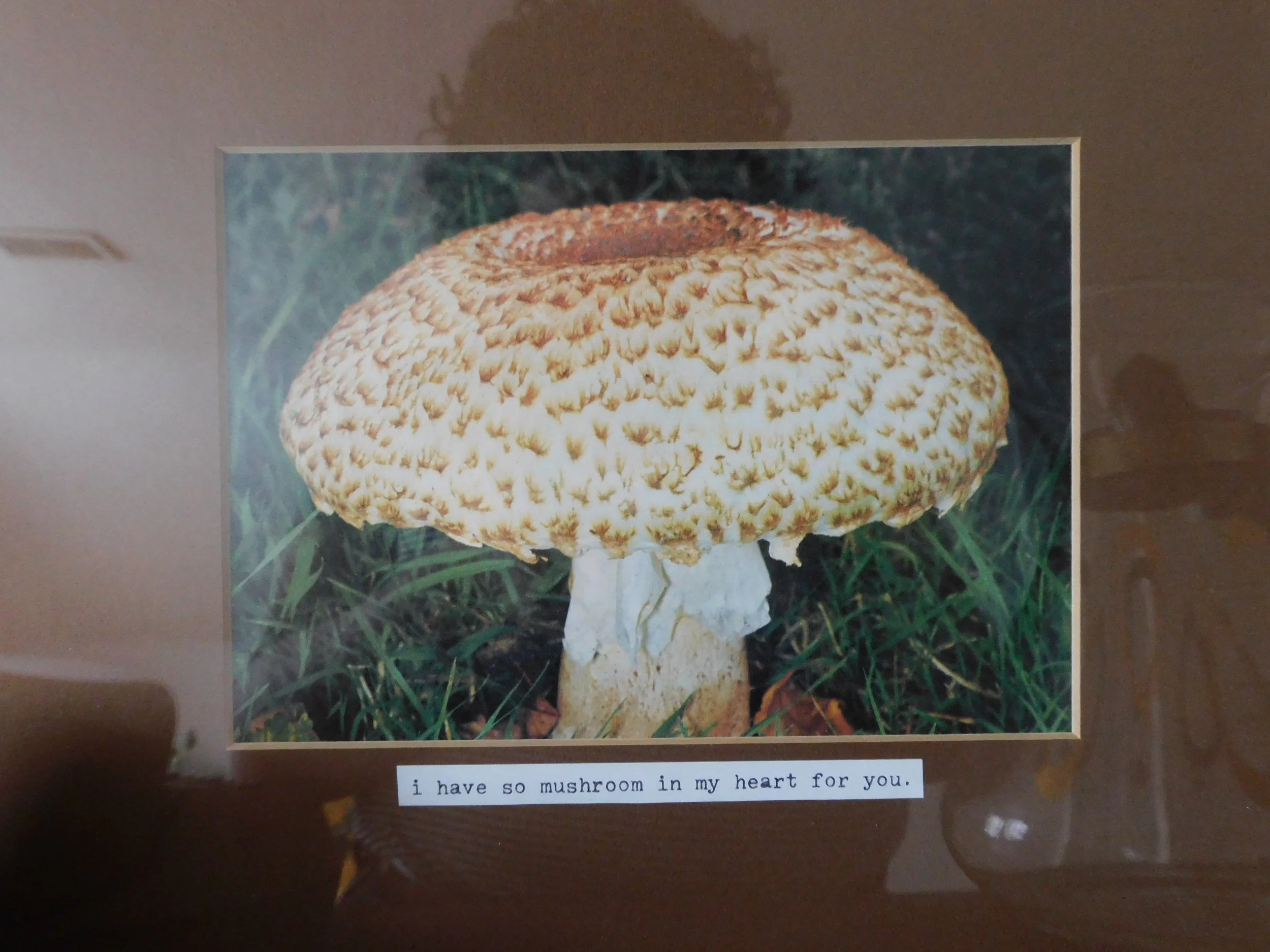 DSCN4836.JPG