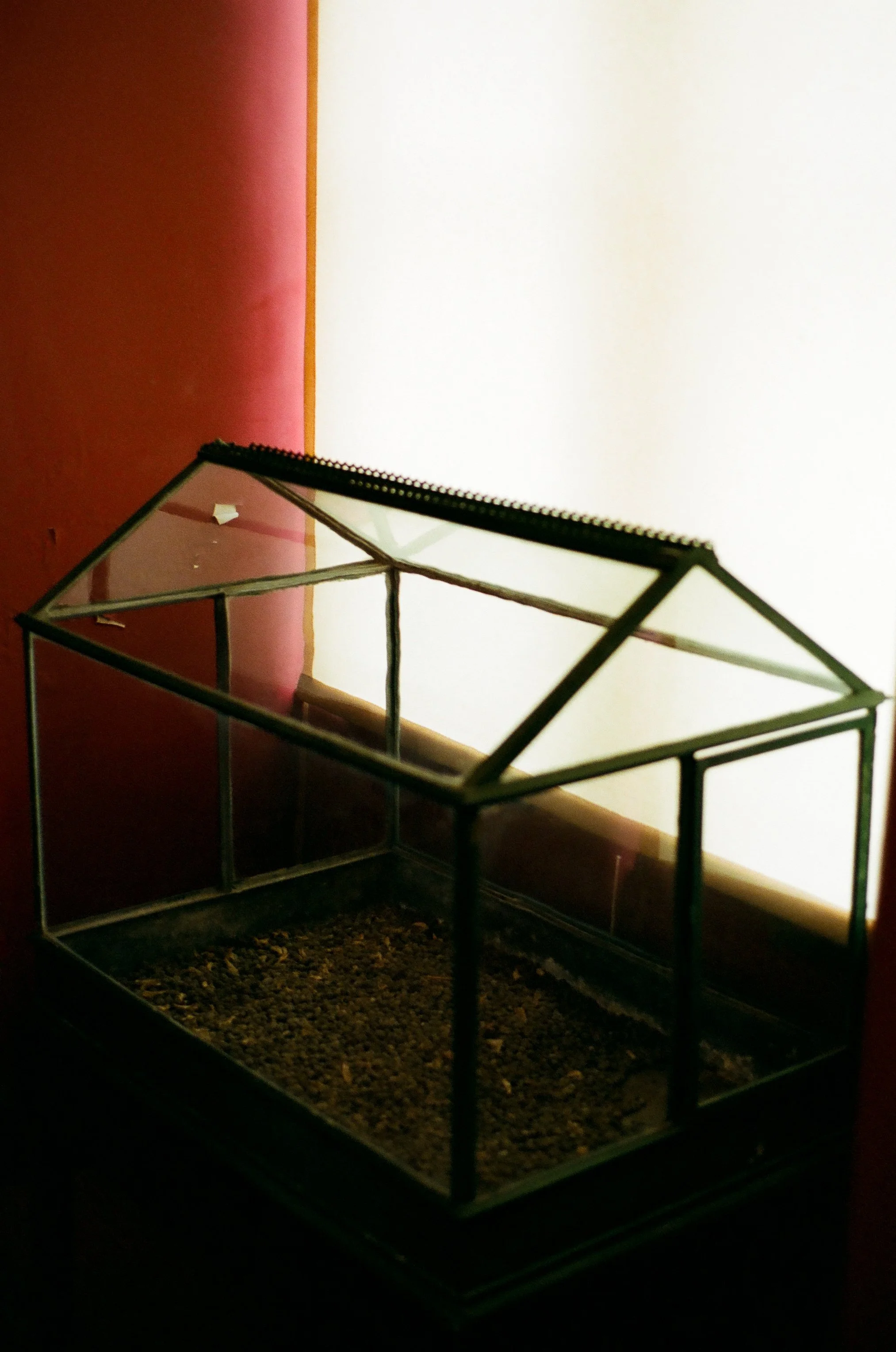008.jpg