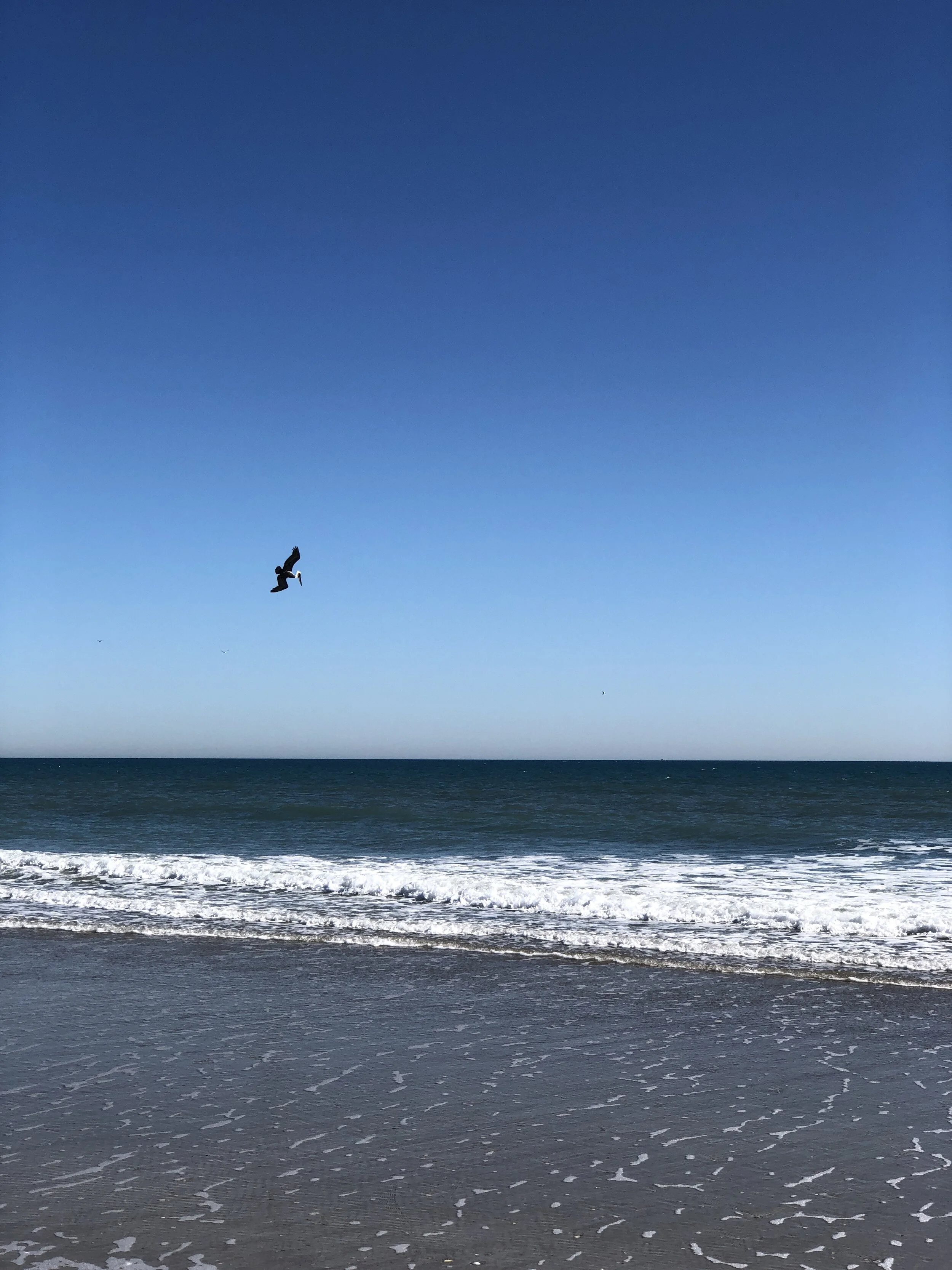BA476840-B8E3-4ED3-AA49-9A955DF8BEE1.jpeg