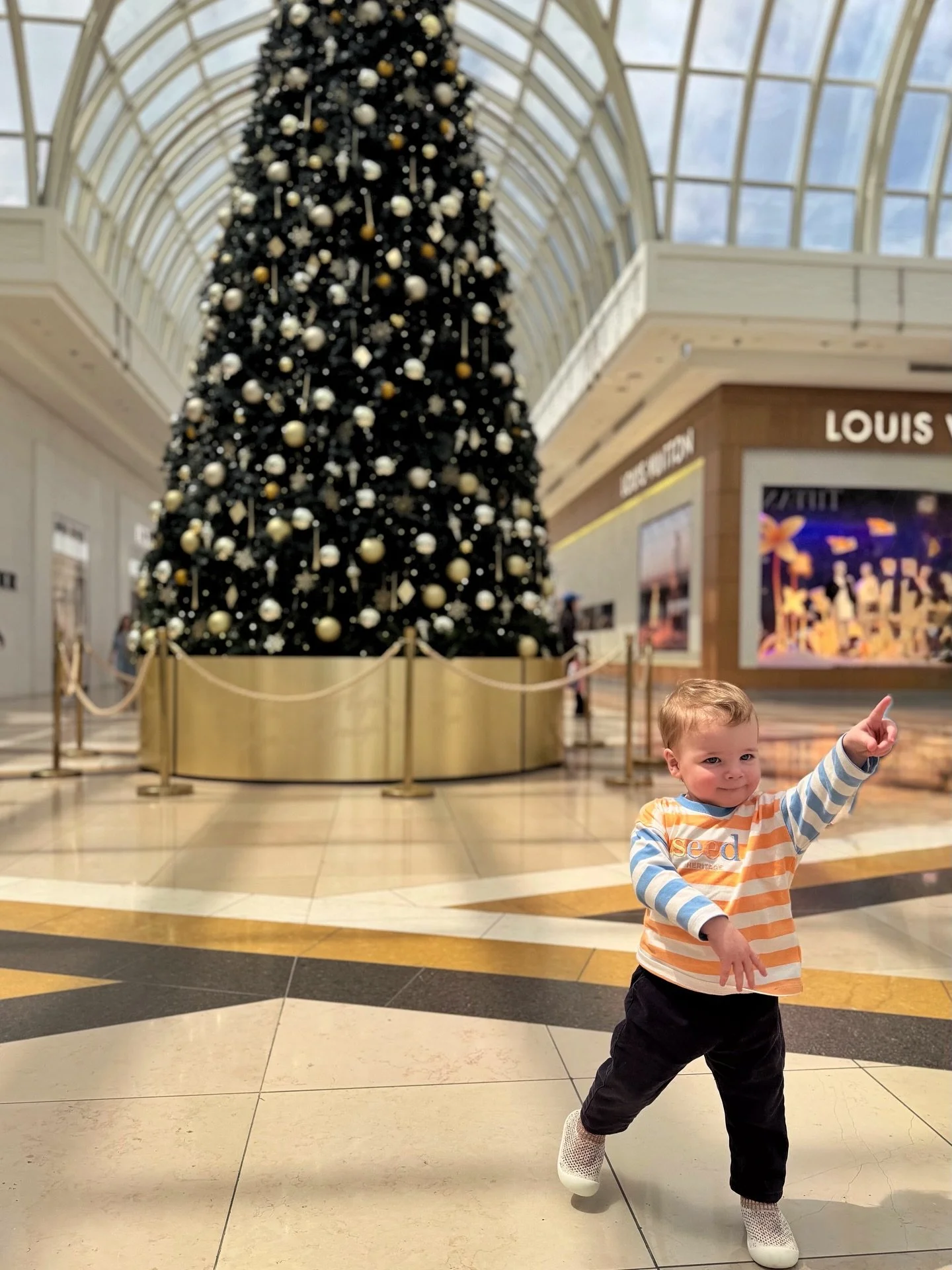 Christmas is here!!!🎄✨