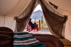 Glamping Single.jpeg