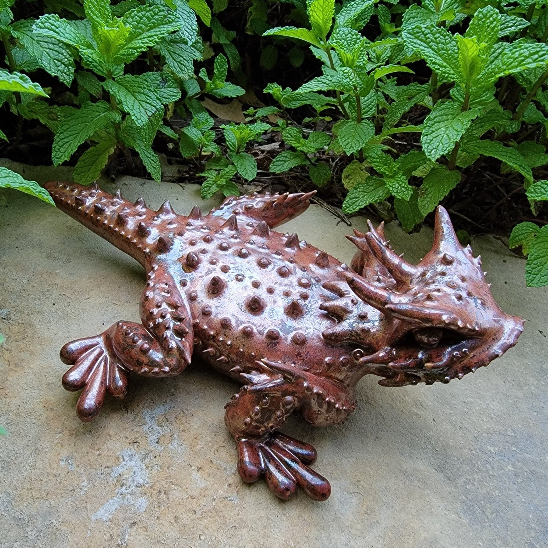 Texas Horned Toad Lizard