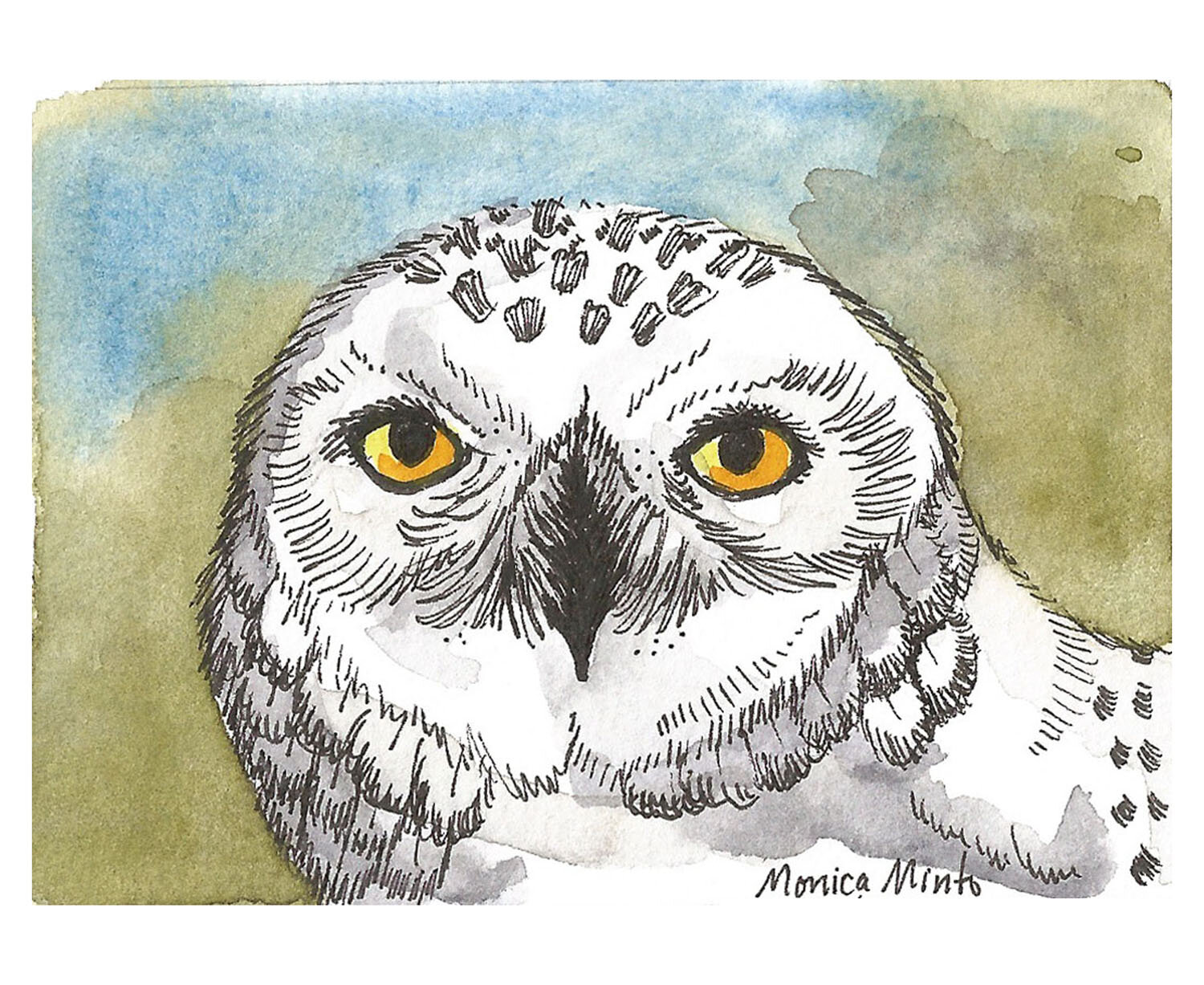 owl ACEO