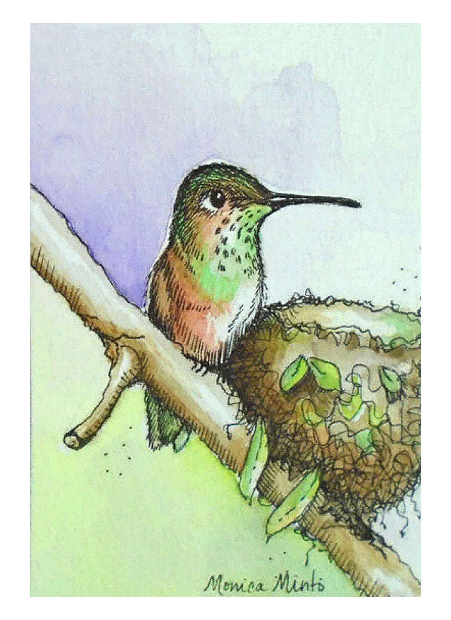 ACEO hummingbird