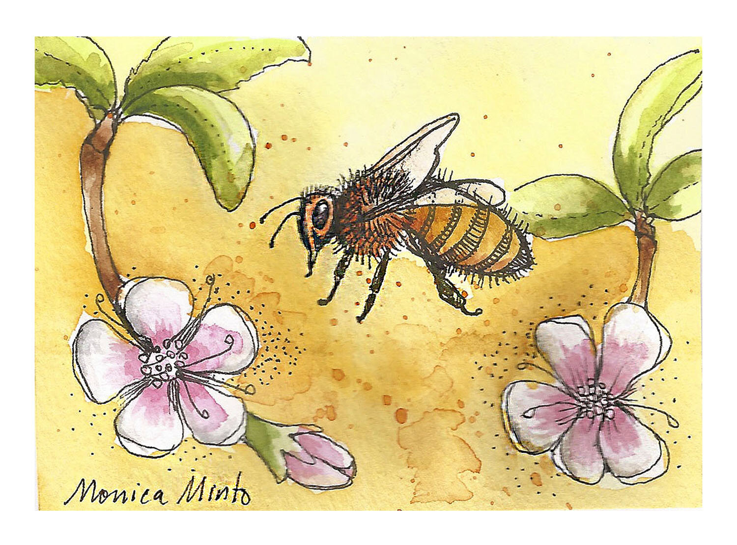 ACEO bees