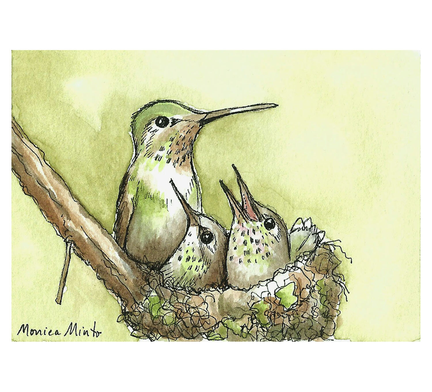 hummingbird print of Original Pen and Ink by Monica Minto ACEO Limited Edition 