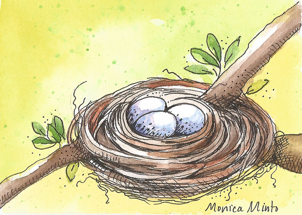 nest with eggs ACEO lr.jpg