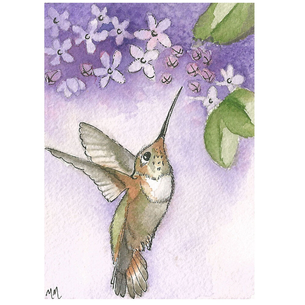 hummer in flight & lilca 2 aceo lr.jpg