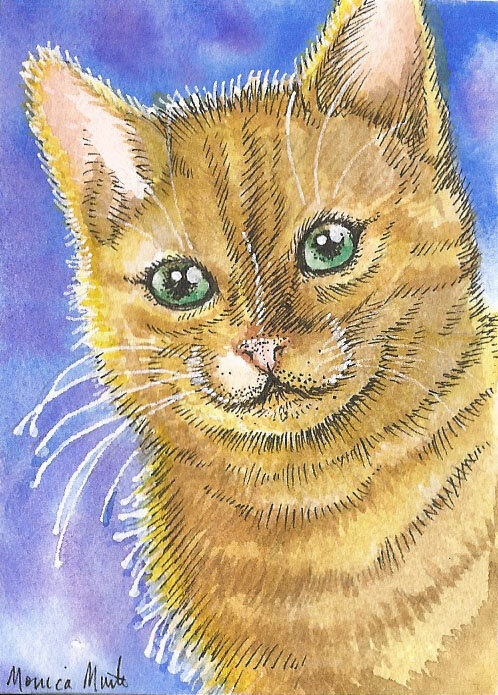 yellow cat ACEO.jpg