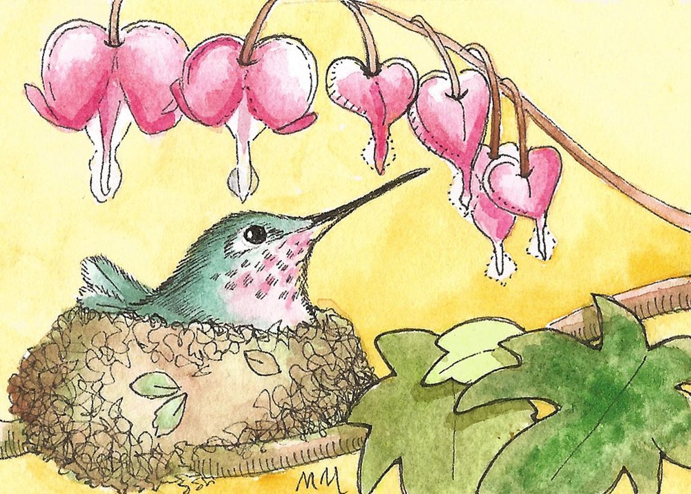 Hummer and bleeding heart ACEO.jpg