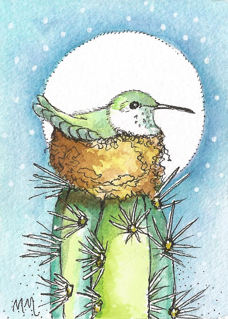 Hummer on cactus ACEO.jpg
