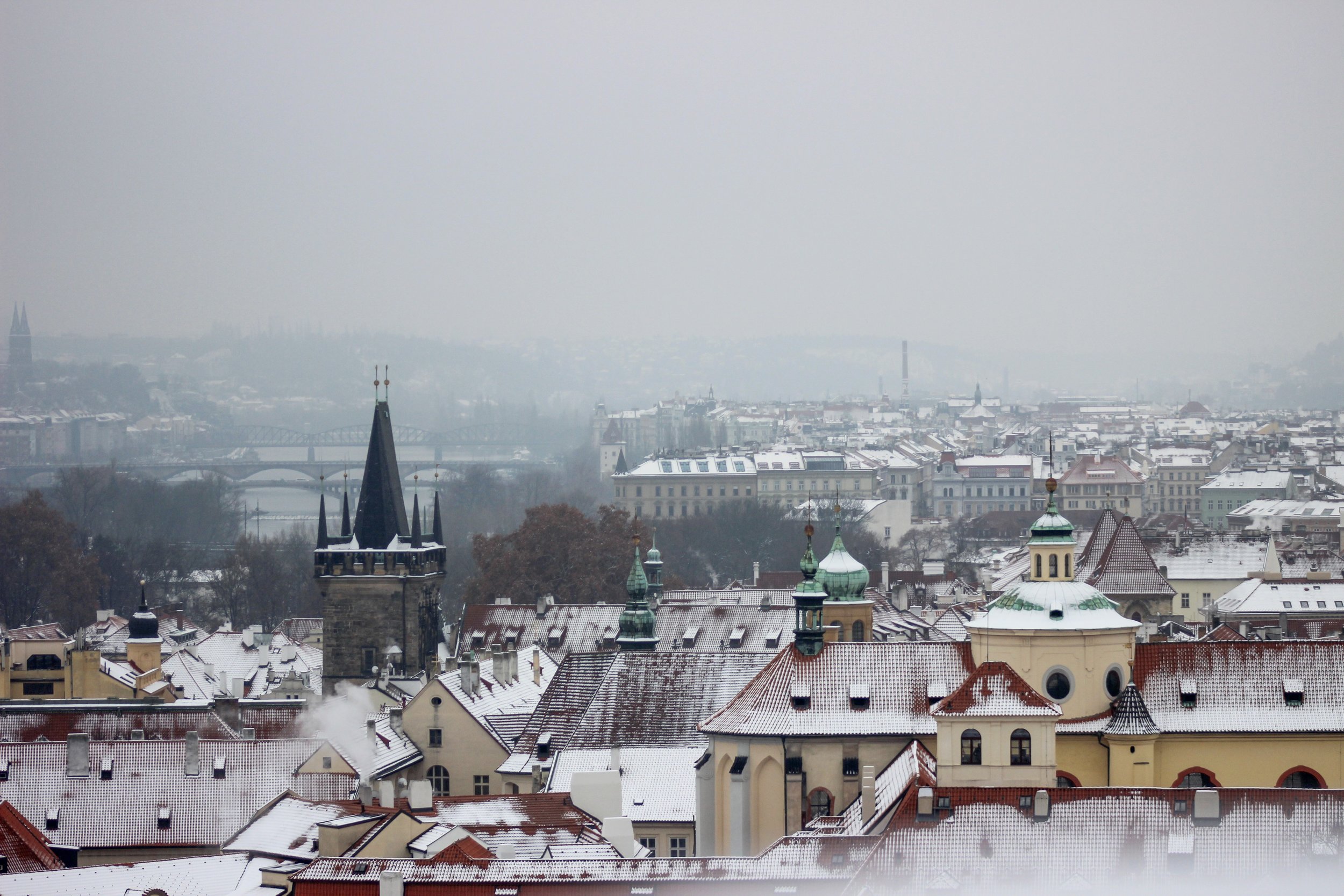 Prague 1.24.19 4.JPG