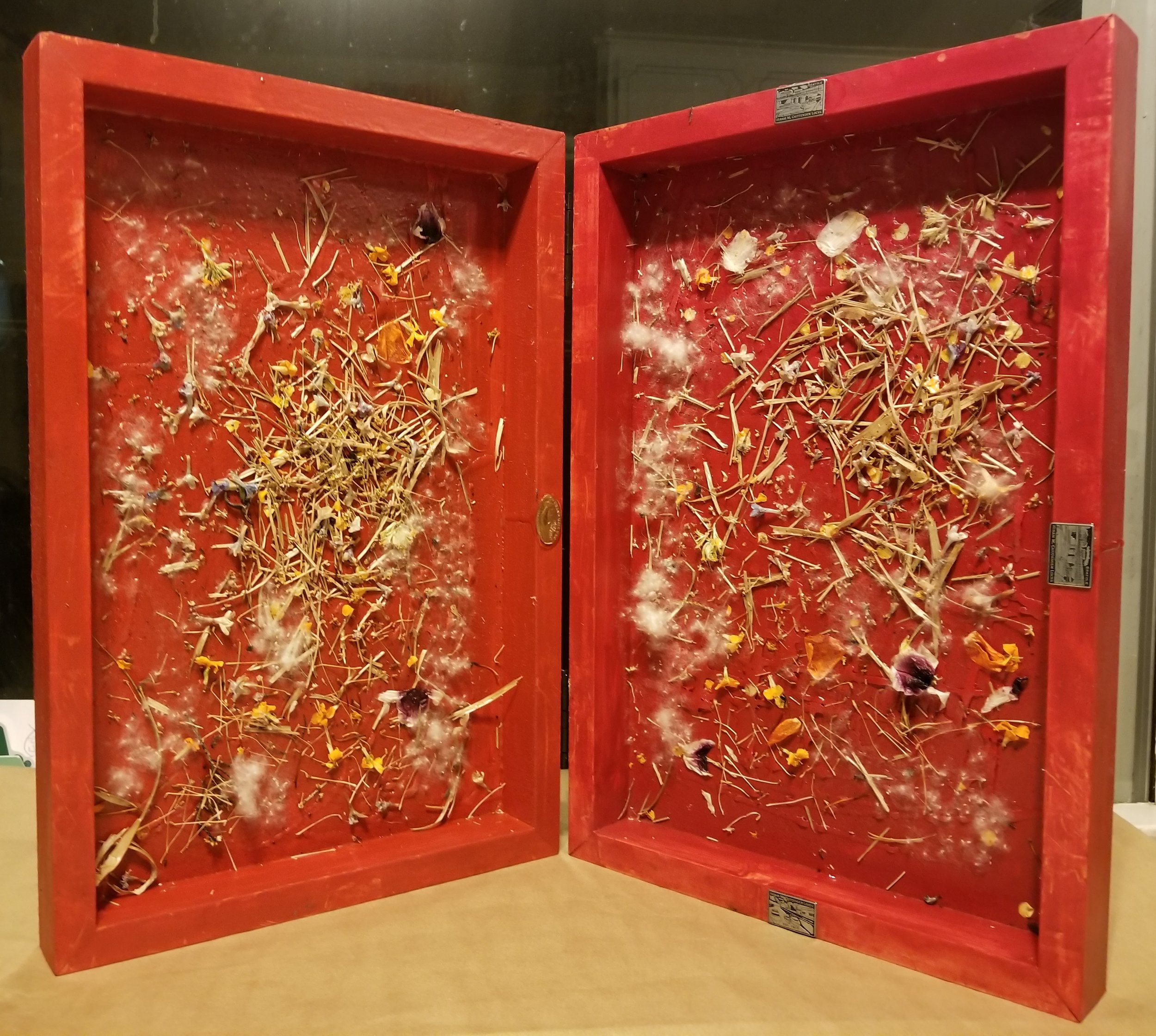 Blood Box, 2019