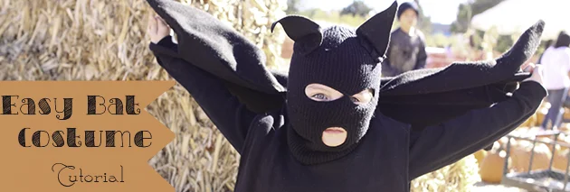 Easy Bat Costume