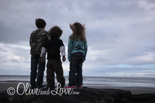 The Mystery Of The Trees And The Cabin In The Woods