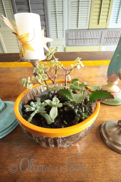 Succulent Terrarium Gardens