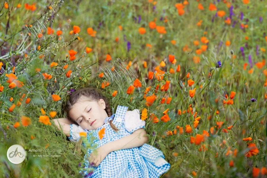 Dorothy Photo Shoot with Amen Photography