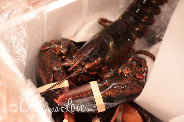 20120406-IMG_2259.jpg