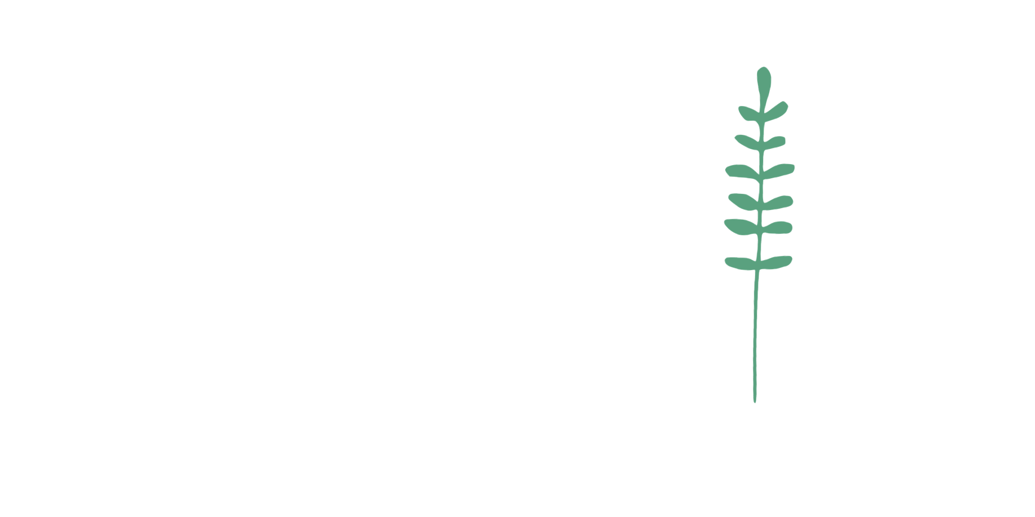 Landscapers Wollongong | Landscape Design Company - Boston Design Co.