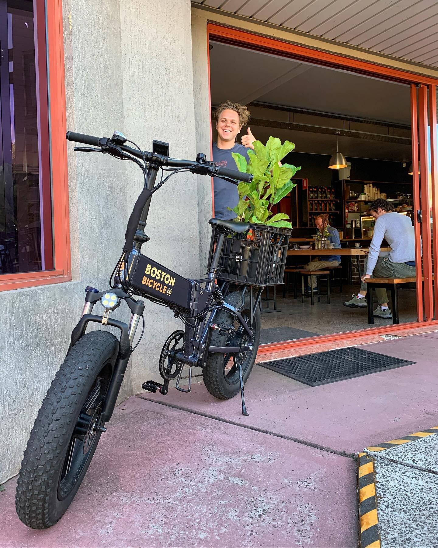 Special plant 🌱 delivery on the @bostonbicycleco T2 🚲 - to my favourite coffee spot ☕️@delanocoffee to the best barista I know. @jarrod_80 #fiddlyfigs #electricbikes #urbangarden