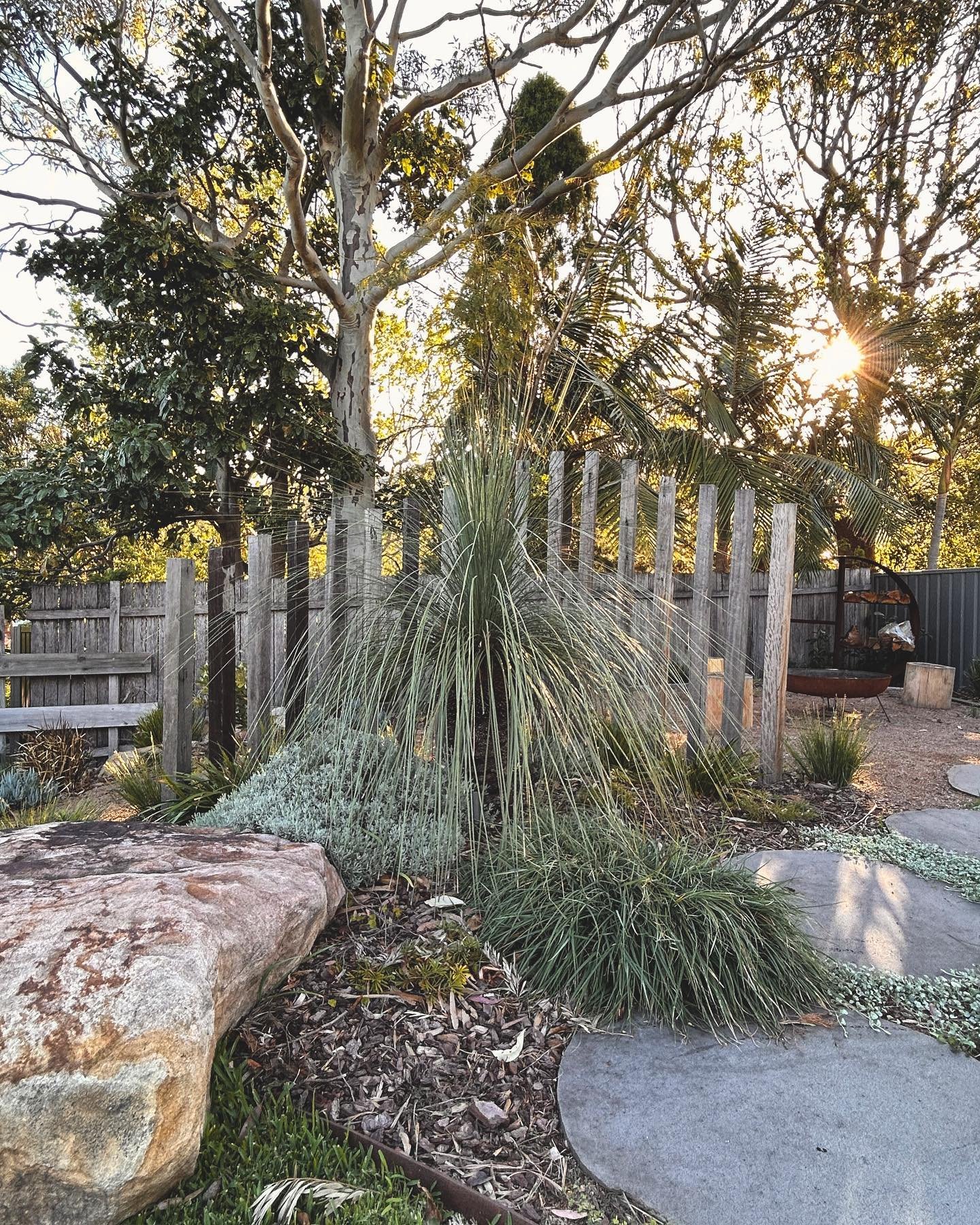All of the things we love in an Australian backyard.