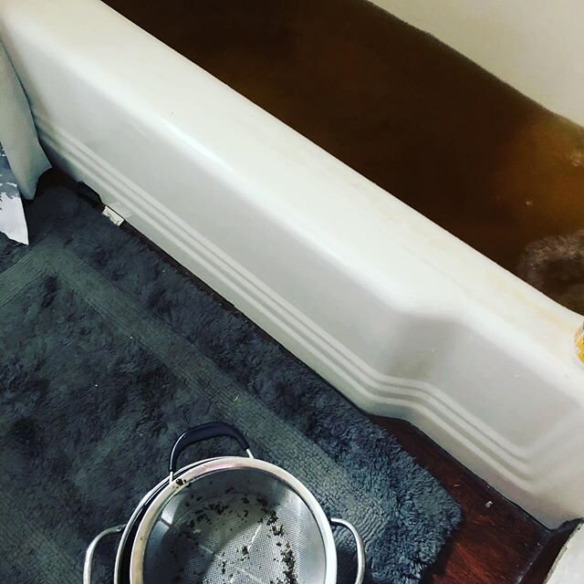 Making the postpartum bath for a new mama who birthed beautifully at home in water yesterday.
#postpartum #herbalbath #homebirth #waterbirth #sacredbirth #birthrootmidwife