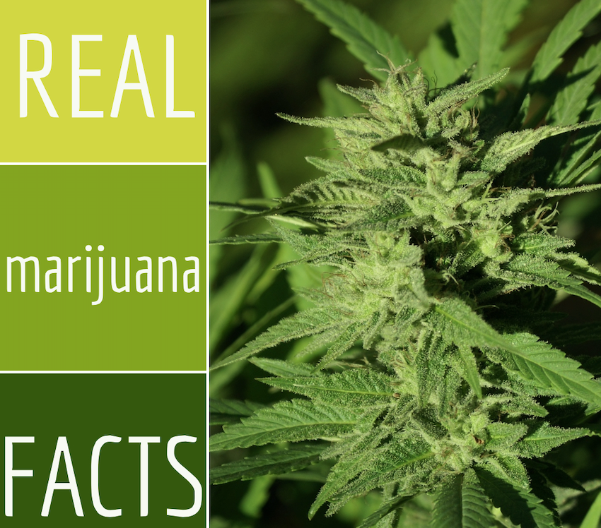 Screen Shot 2019-01-22 at 5.19.06 PM.png