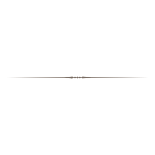 DIVIDER+1.png