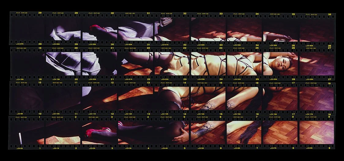 GASPAR-MARQUEZ-BODYSCAPES-Daddy-Long-legs-Submission-5 copy.jpg