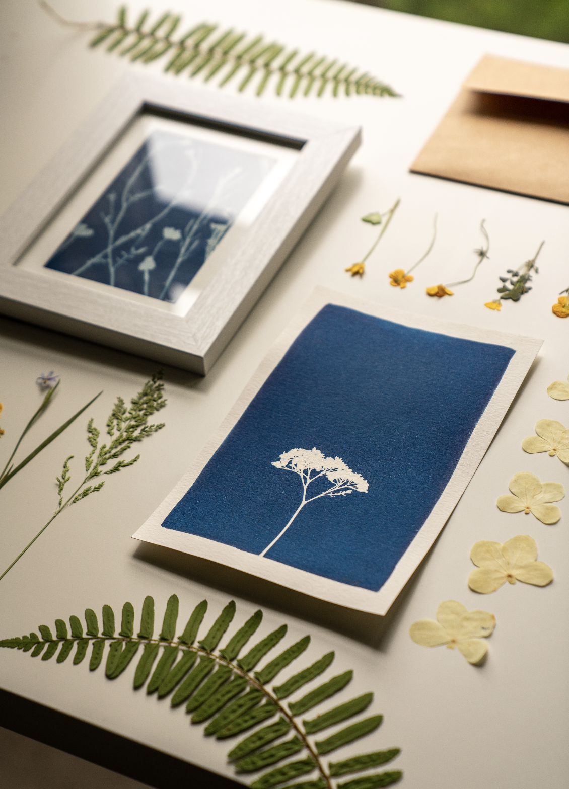 Botanical Surprise