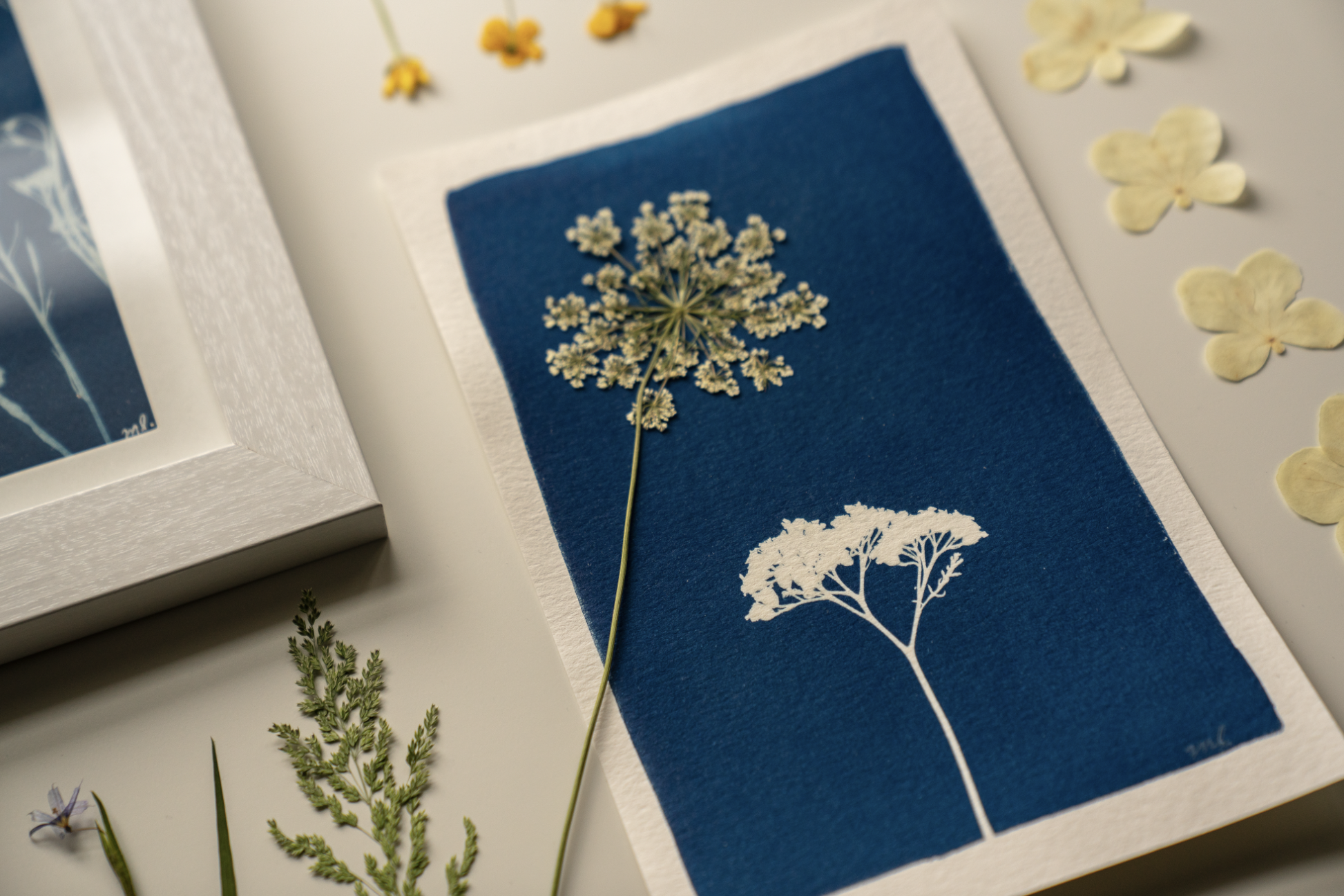 Botanical Study I