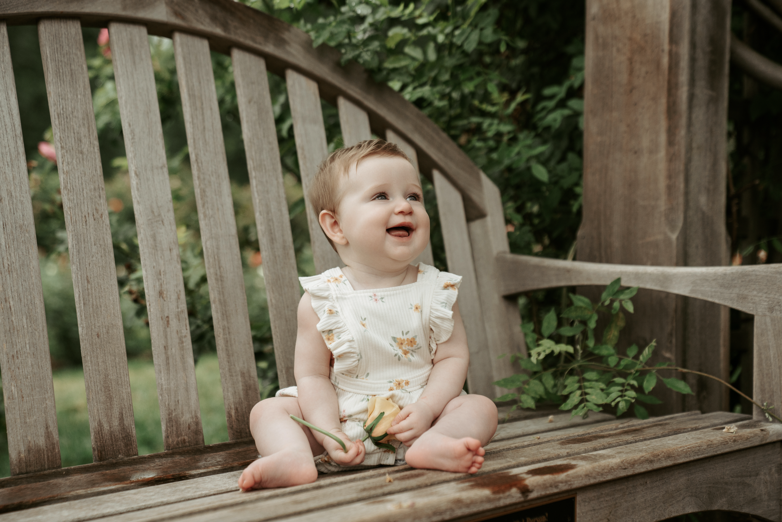Fall Mini Session - November - Reston, Leesburg, Falls Church