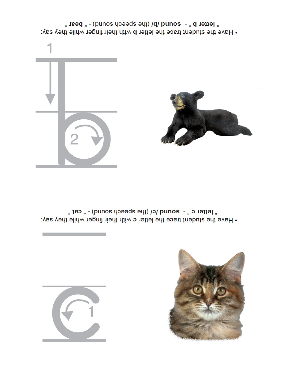 Screen Shot 2019-01-18 at 10.42.50 PM.png