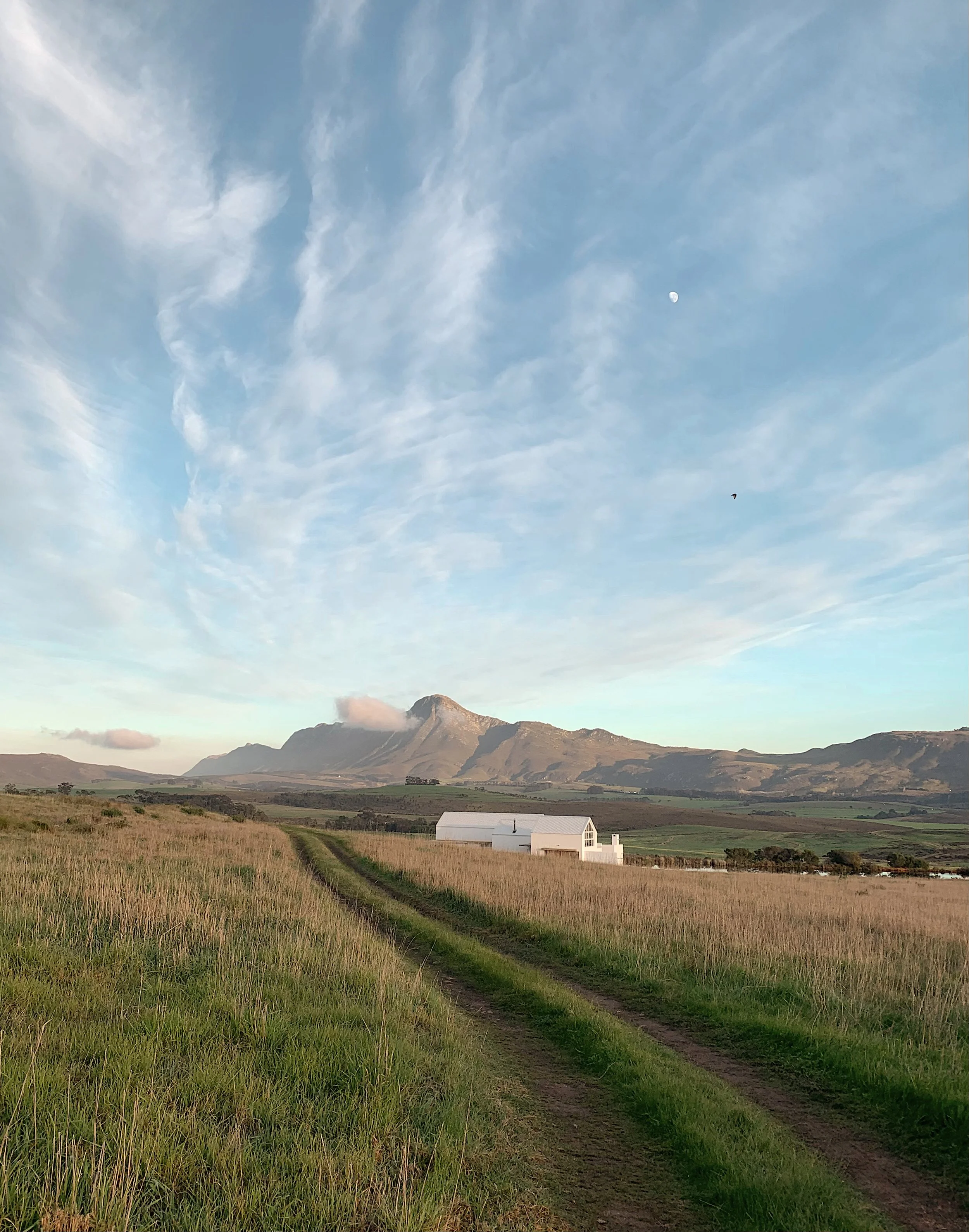 Scenic landscape with a dirt path leading towards a white house, grassy fields, mountains in the background, and a cloudy blue sky.
