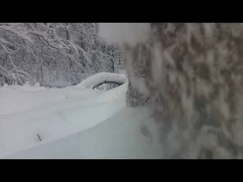 Zecre PH860 trail camera daytime sample video