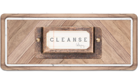 CLEANSE_large.png