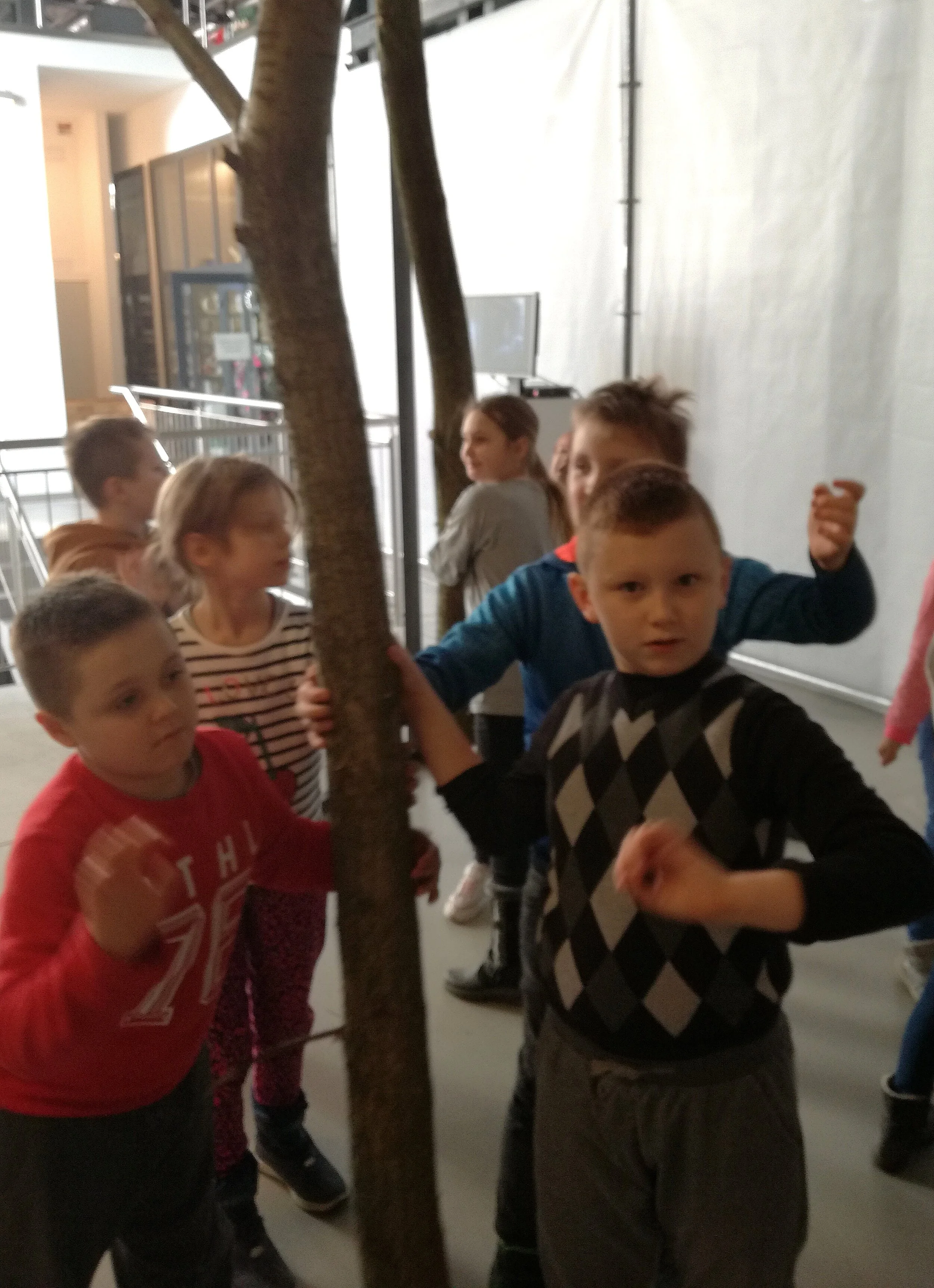 IMG_20191212_120649.jpg