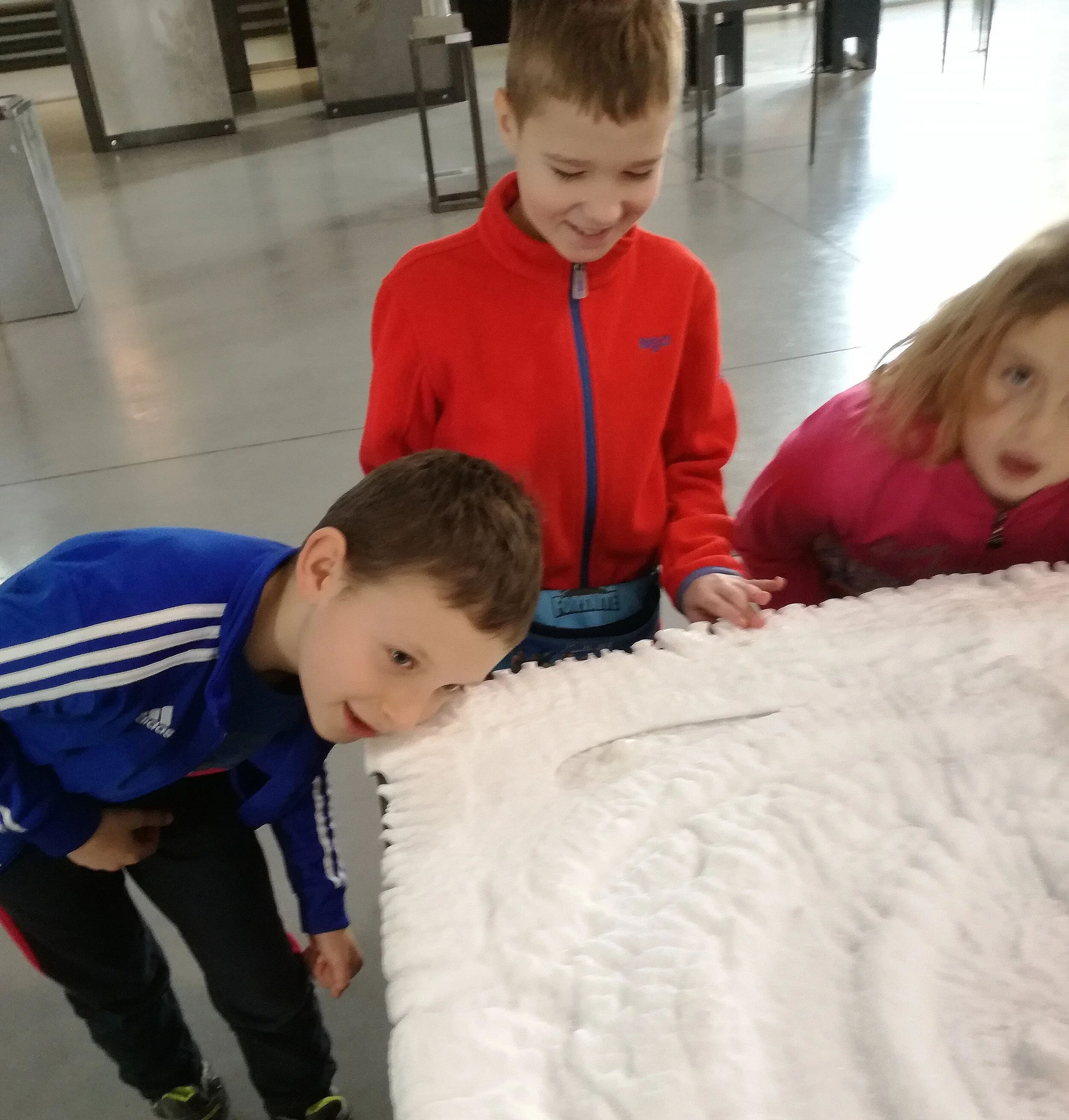IMG_20191212_121203.jpg