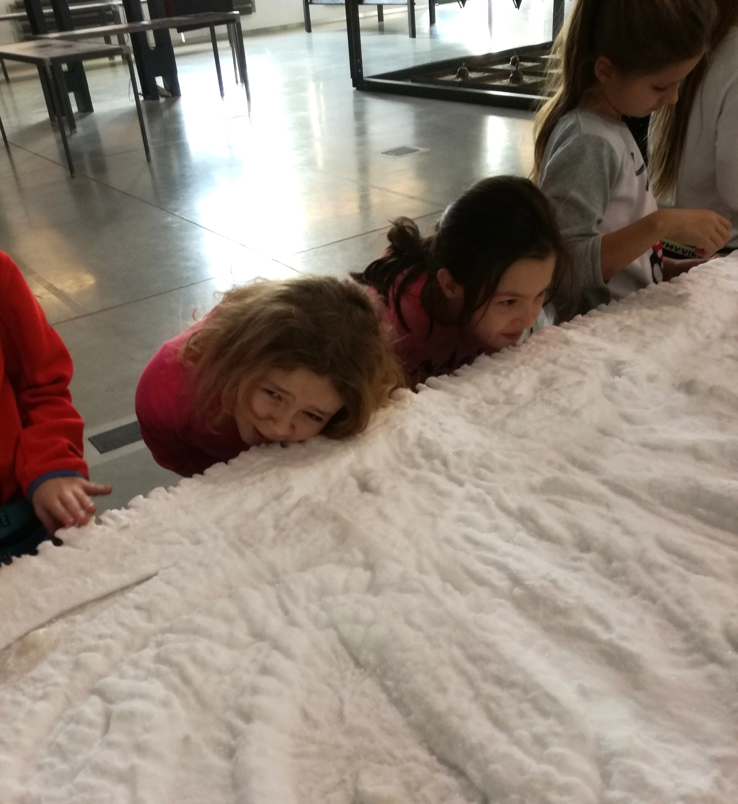 IMG_20191212_121209.jpg