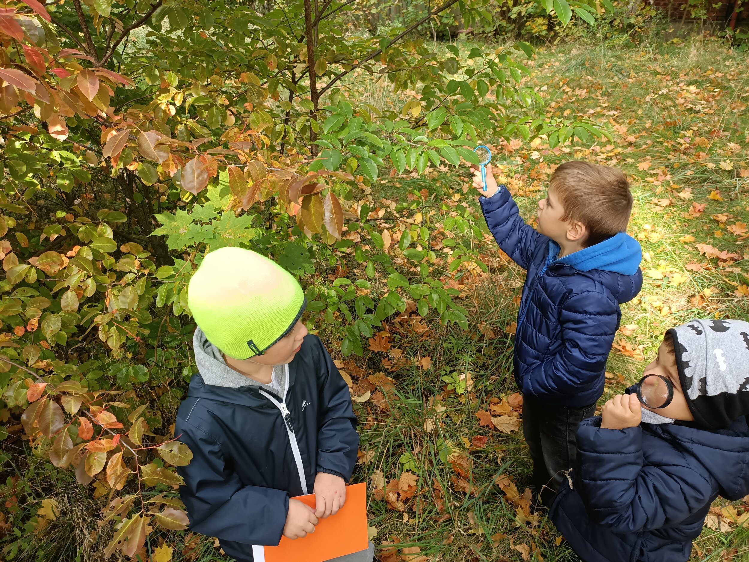 IMG20211011115005.jpg