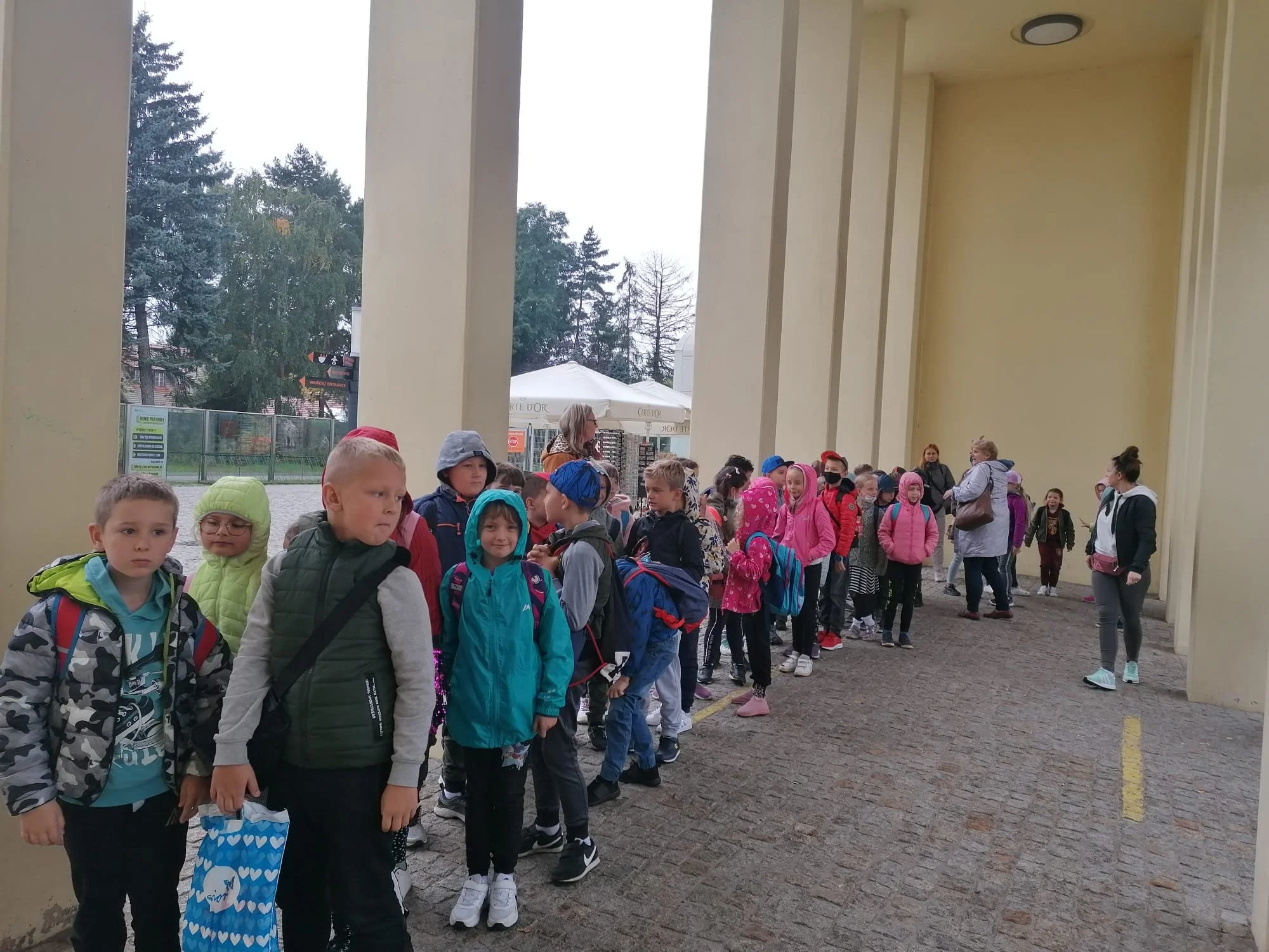 WhatsApp Image 2021-10-07 at 16.55.27.jpeg