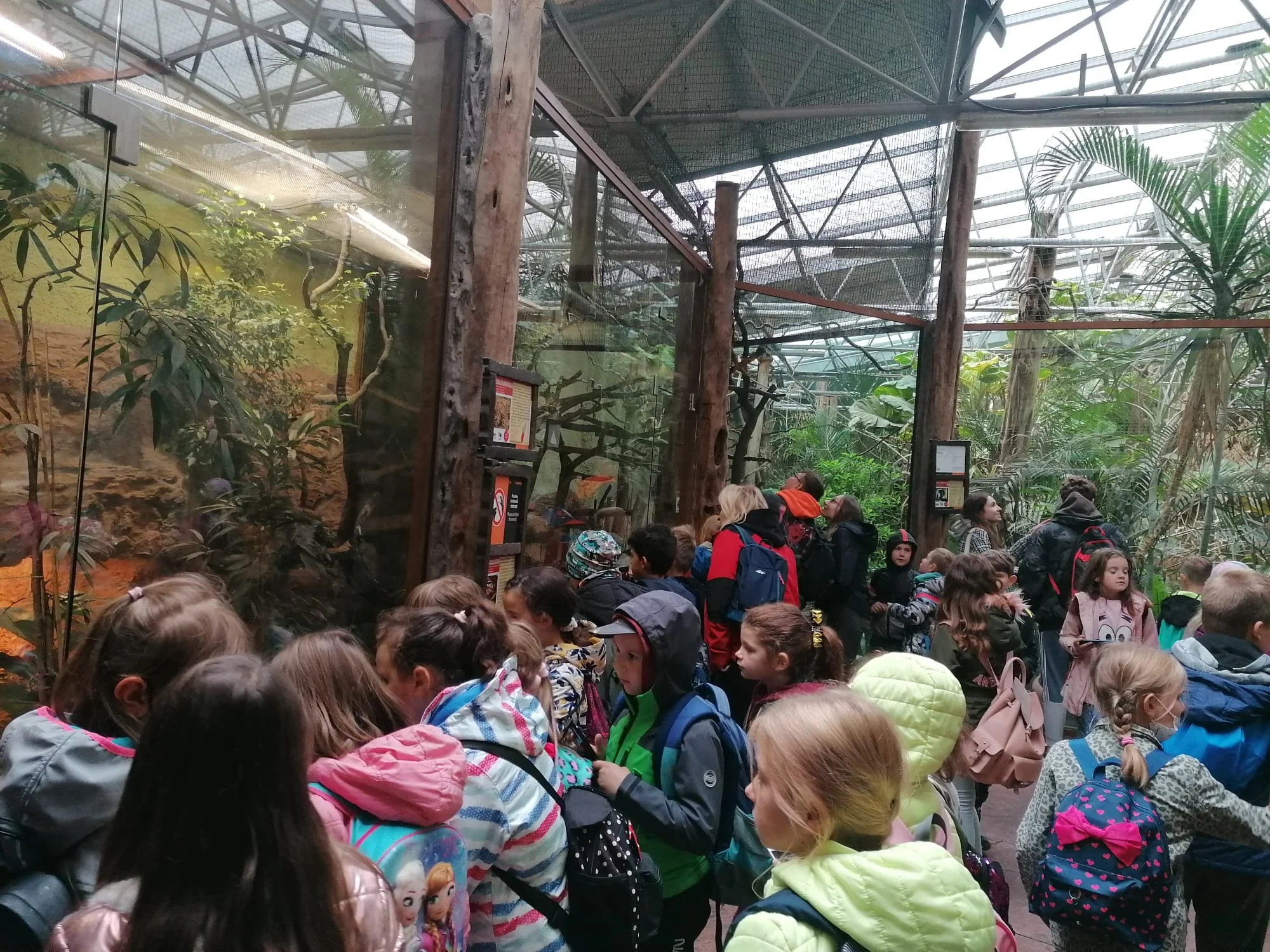 WhatsApp Image 2021-10-07 at 16.56.12.jpeg