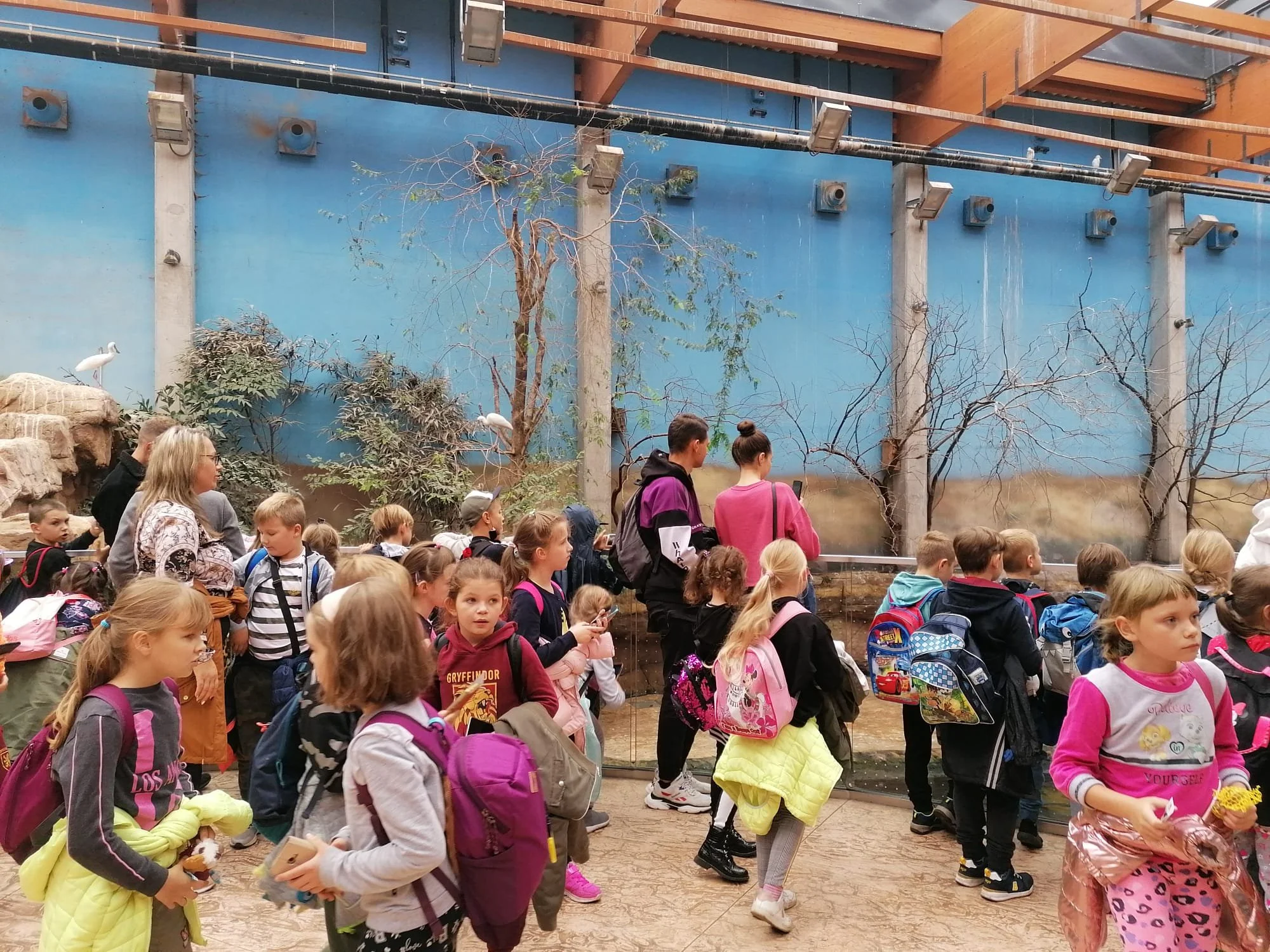 WhatsApp Image 2021-10-07 at 16.58.17.jpeg