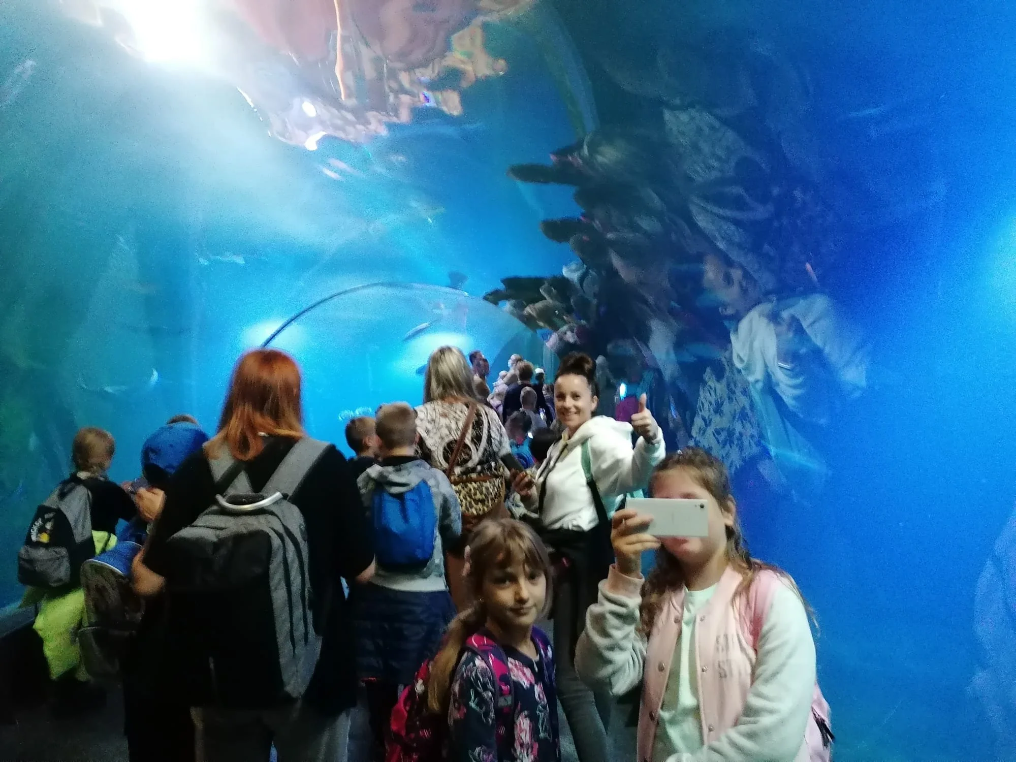 WYCIECZKA DO AFRYKARIUM, kl 2a, 2b,