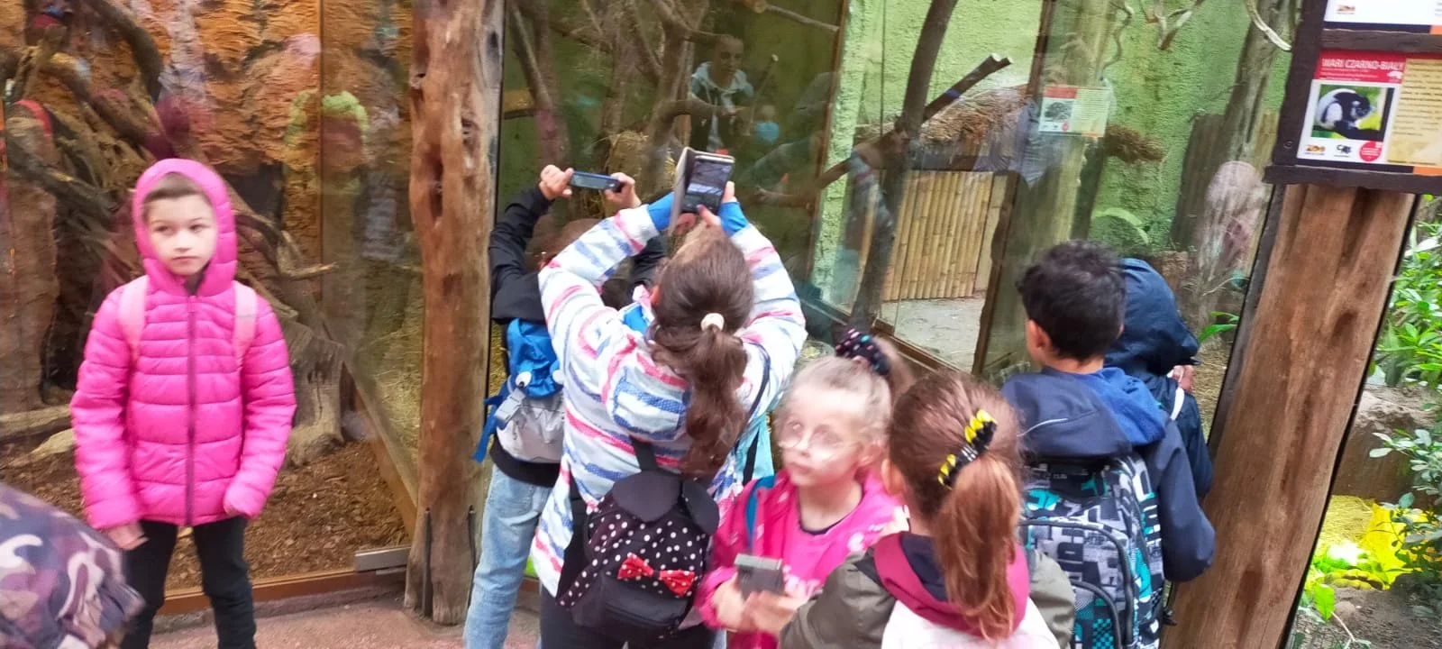 WhatsApp Image 2021-11-11 at 09.58.45.jpeg