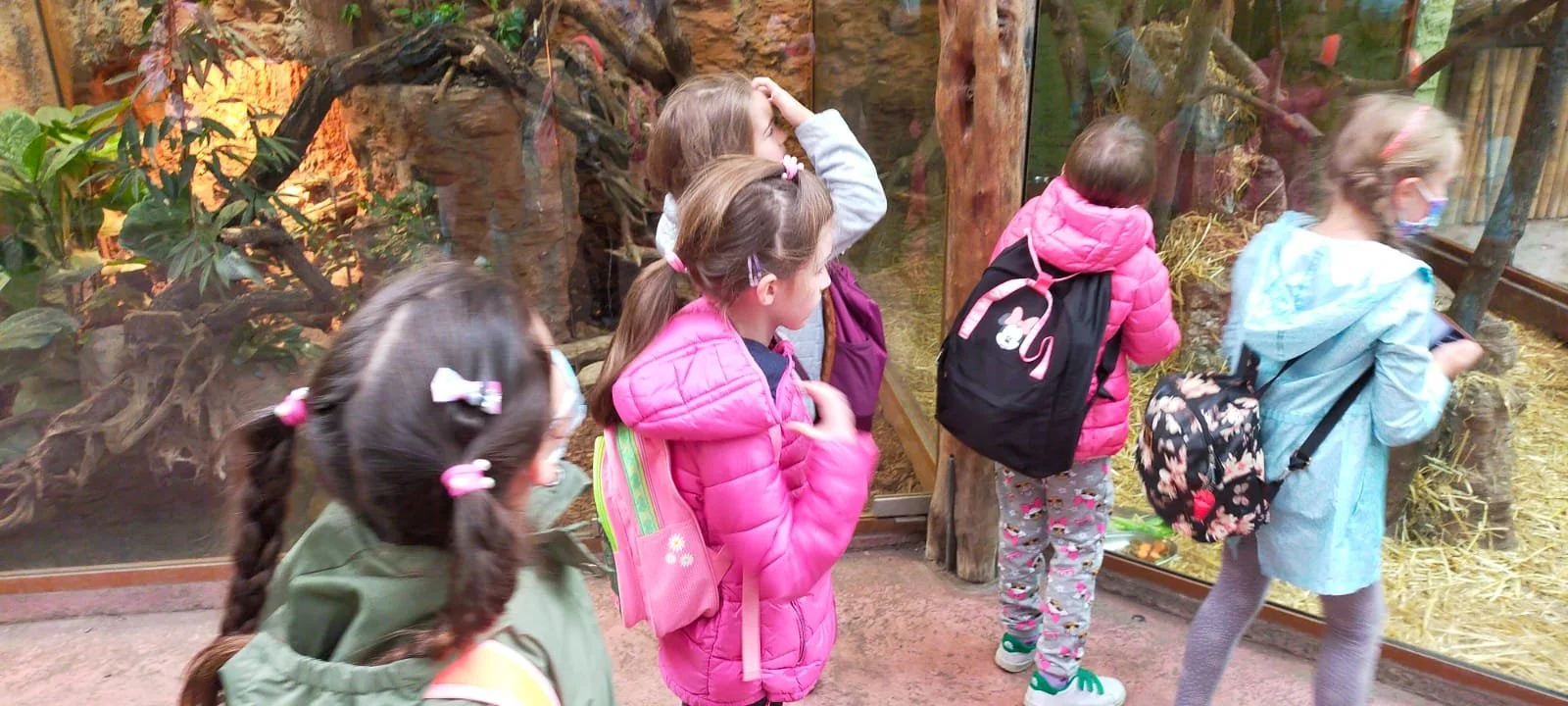 WhatsApp Image 2021-11-11 at 09.58.51.jpeg