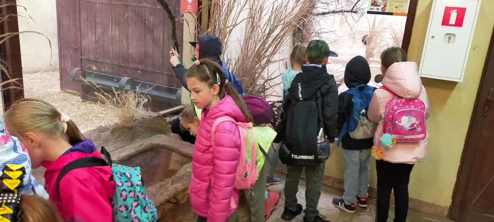 WhatsApp Image 2021-11-11 at 09.58.55.jpeg