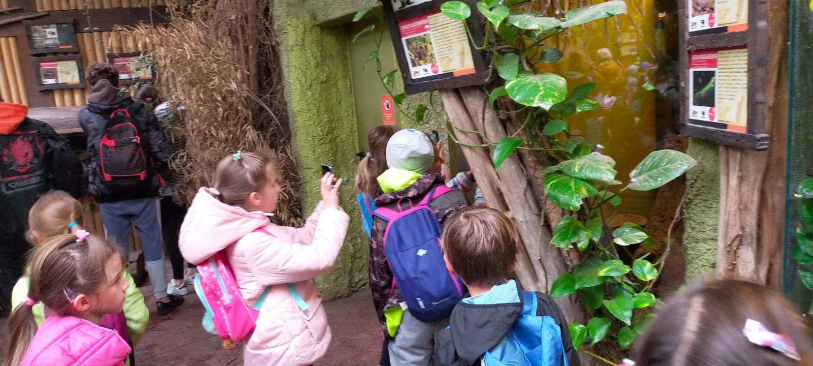 WhatsApp Image 2021-11-11 at 09.59.03.jpeg